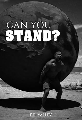 Can You Stand?:: Divine Keys To Help You Stand As A Christian In Tough And Trying Times